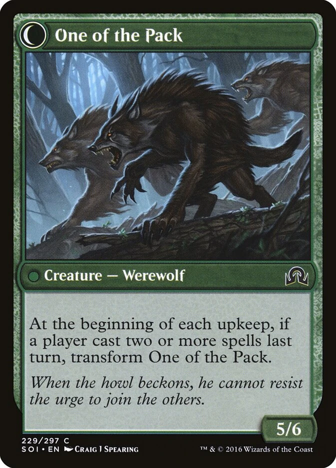 Solitary Hunter // One of the Pack — other side