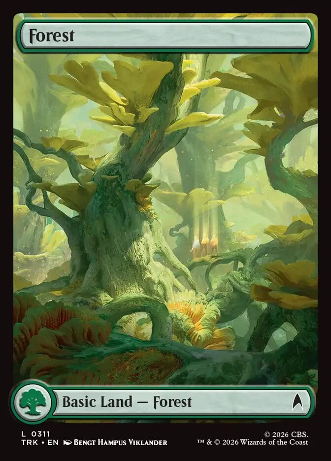 Forest