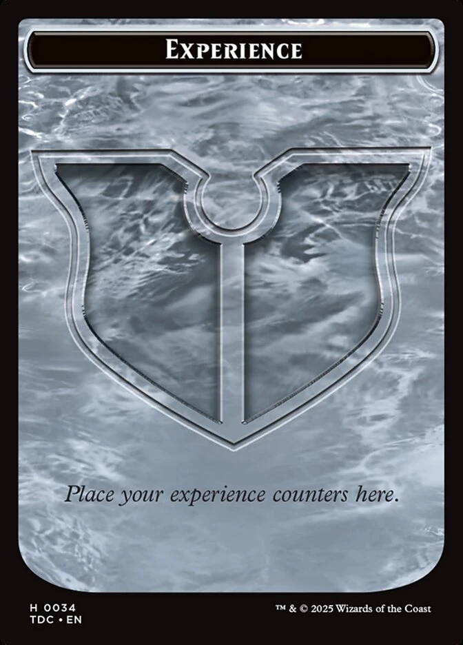 Experience