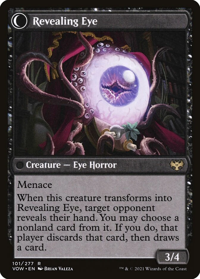 Concealing Curtains // Revealing Eye — other side