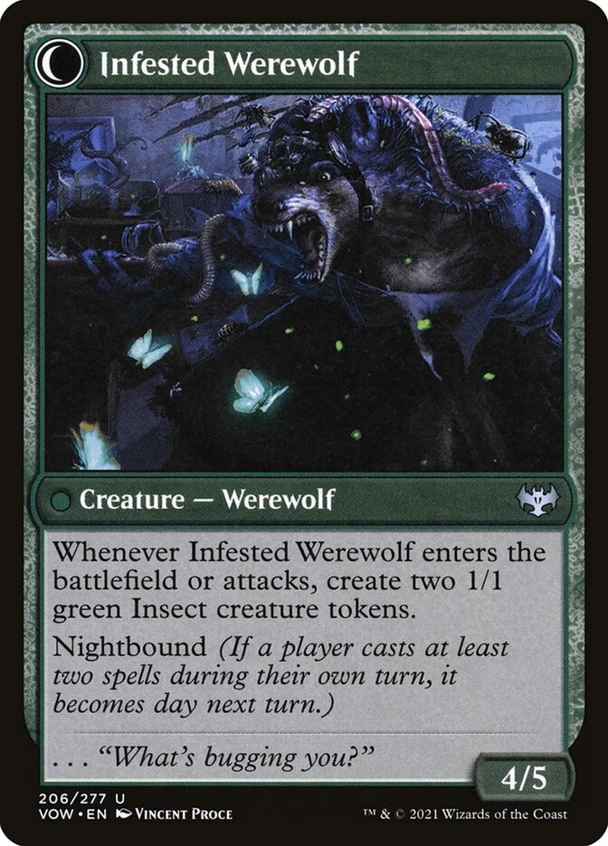 Infestation Expert // Infested Werewolf — other side