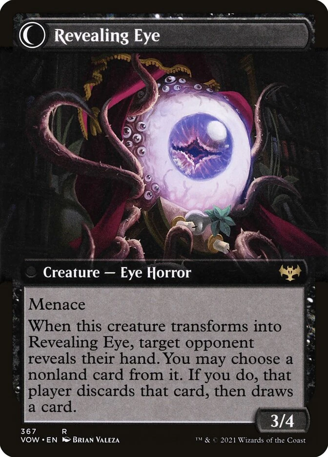 Concealing Curtains // Revealing Eye — other side