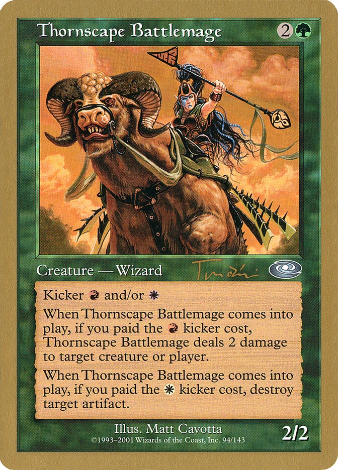 Thornscape Battlemage