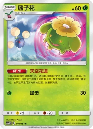 毽子花