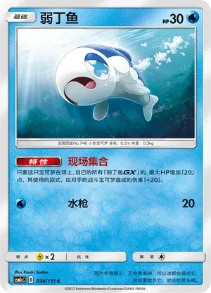弱丁鱼