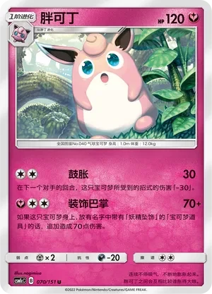 胖可丁