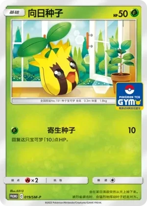 向日种子