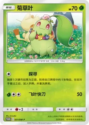 菊草叶