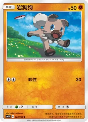 岩狗狗