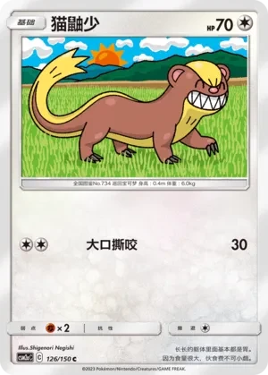 猫鼬少