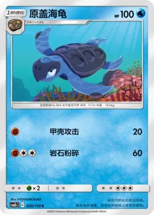 原盖海龟