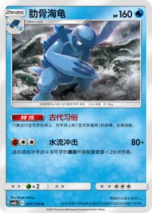 肋骨海龟