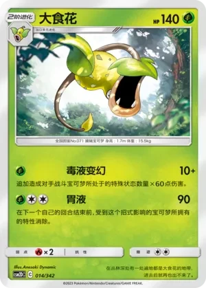 大食花