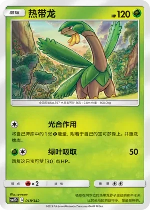 热带龙