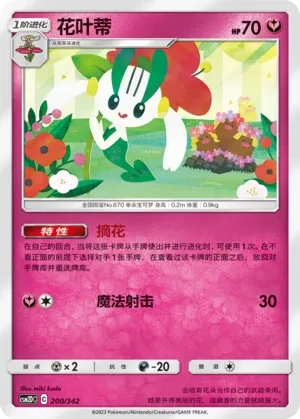 花叶蒂