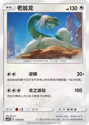 老翁龙