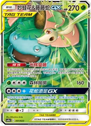 Venusaur & Snivy GX