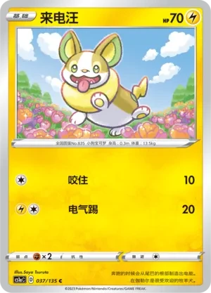 来电汪