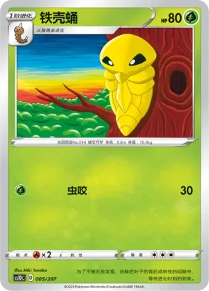 铁壳蛹