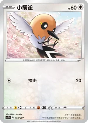 小箭雀
