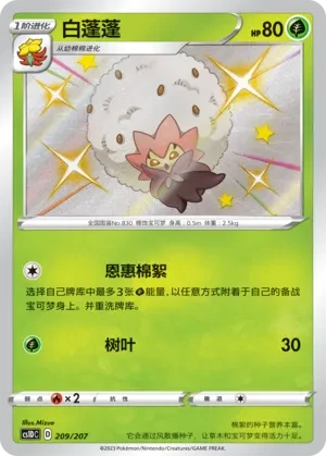 白蓬蓬