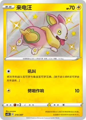来电汪