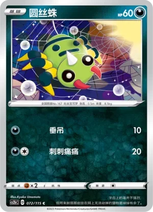 圆丝蛛