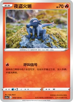 夜盗火蜥