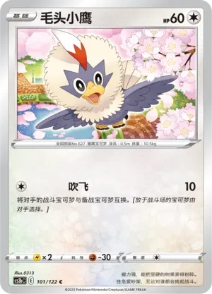 毛头小鹰