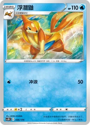 浮潜鼬