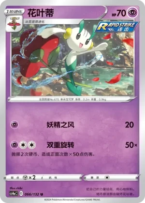 花叶蒂