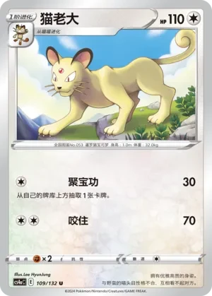 猫老大