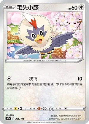 毛头小鹰