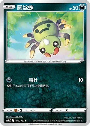 圆丝蛛