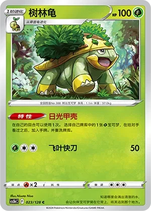 树林龟