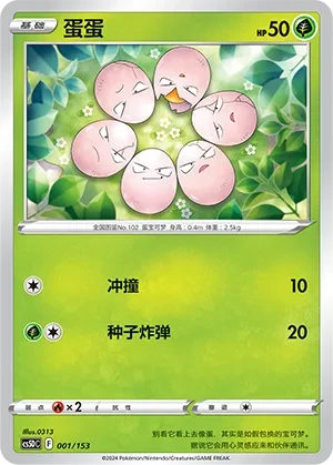 蛋蛋