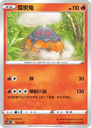 煤炭龟