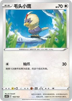 毛头小鹰