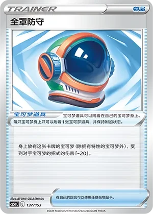 Full Face Guard