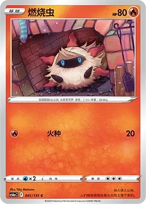 燃烧虫
