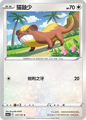 猫鼬少