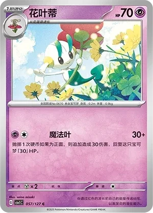 花叶蒂