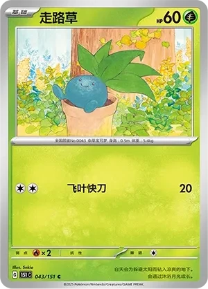 走路草