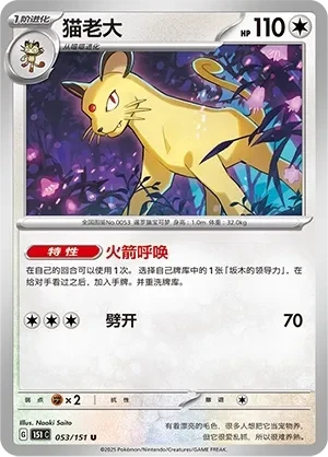 猫老大