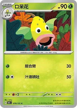口呆花