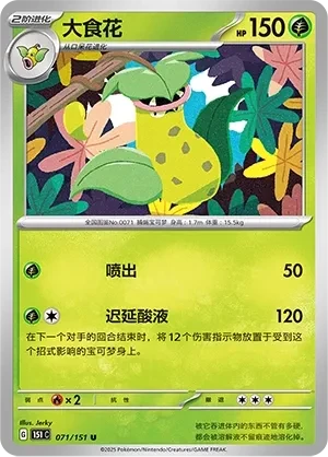 大食花