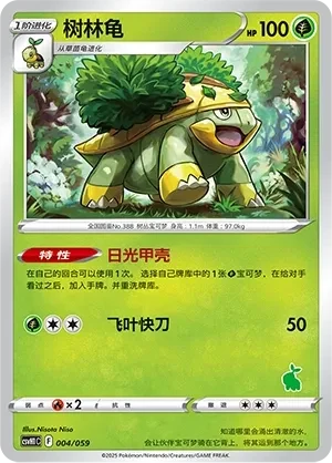 树林龟