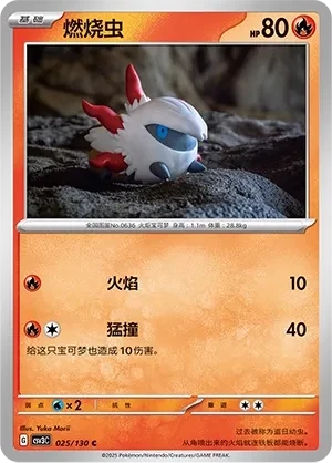 燃烧虫