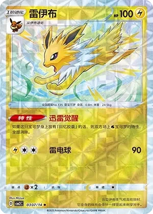 雷伊布