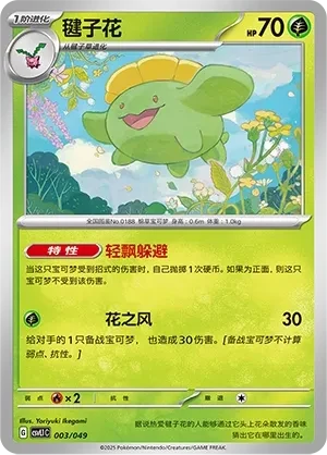 毽子花
